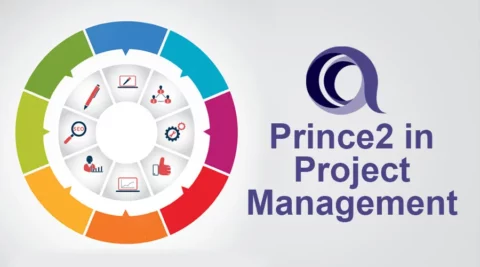 project management