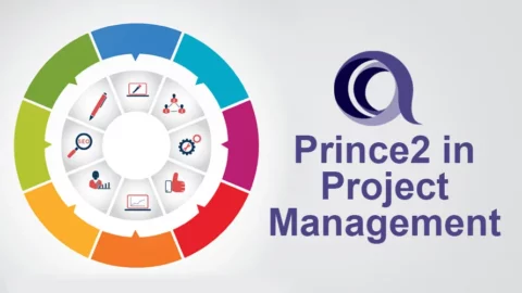 project management