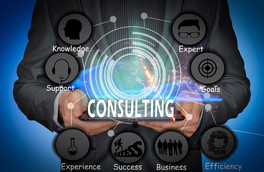 PayPal consulting business