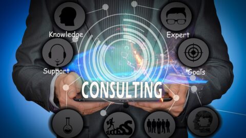 PayPal consulting business