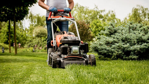 lawn care business